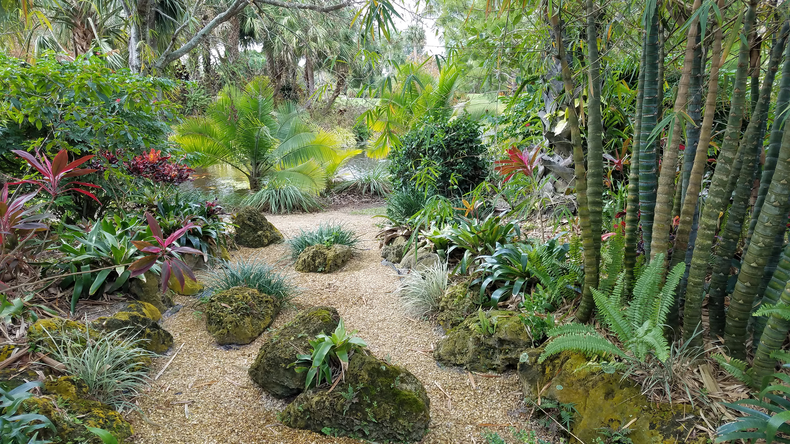 Fotowalk Mounts Botanical Garden Of Palm Beach County